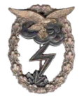Erdkampfabzeichen-Luftwaffe,06.11.1942